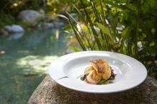 Dine In The Treetops