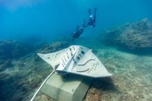 Whitsunday Public Artwork Project