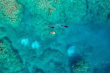 Whitsunday Public Artwork Project Tourism Whitsundays