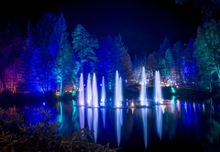 The Enchanted Forest in Pitlochry