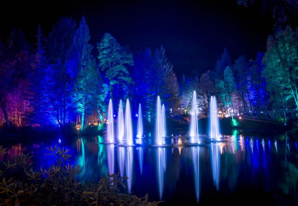 The Enchanted Forest in Pitlochry The Enchanted Forest in Pitlochry