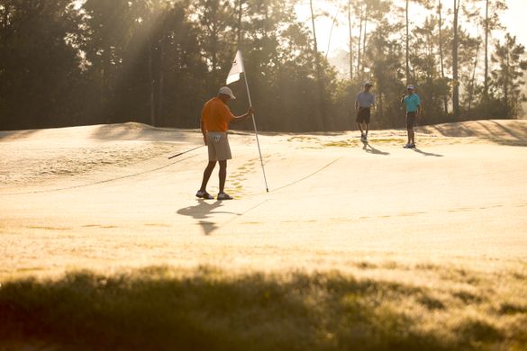 Twelve golf courses on the Mississippi Gulf Coast meet any skill level