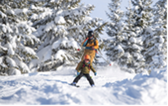Ski Safari