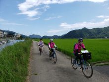 Cycling the Maruyama River