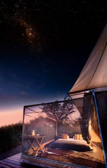 BOTSWANA: Linyanti Expeditions 