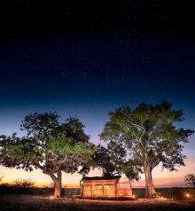 BOTSWANA: Linyanti Expeditions 