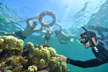 Master Reef Guide Pablo Cogollos take passengers on Sunlover Reef Cruises on a guided snorkelling tour. Image: Calypso Reef Imagery
