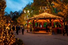 Skulpturpark Blokhus