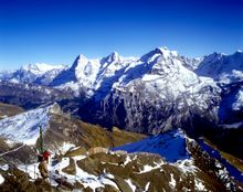 A Swiss Summer