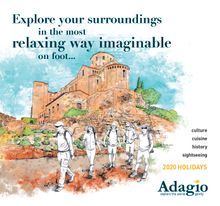 2020 Adagio Brochure