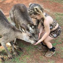 Feed the Kangaroos at Cooberrie Park Wildlife Sanctuary
