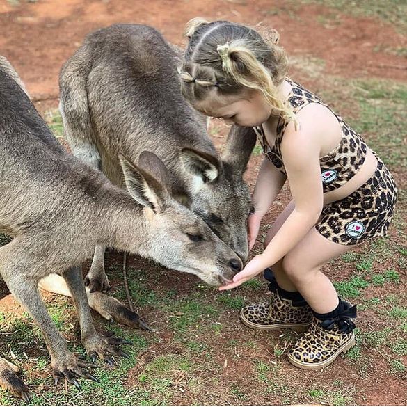 Feed the Kangaroos at Cooberrie Park Wildlife Sanctuary