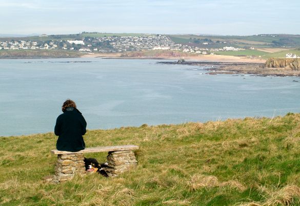 Top dog walk in the West - Bolberry Down, South Devon