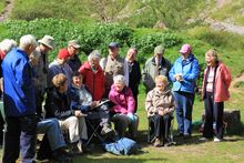 David Bellamy - Uphill Beach