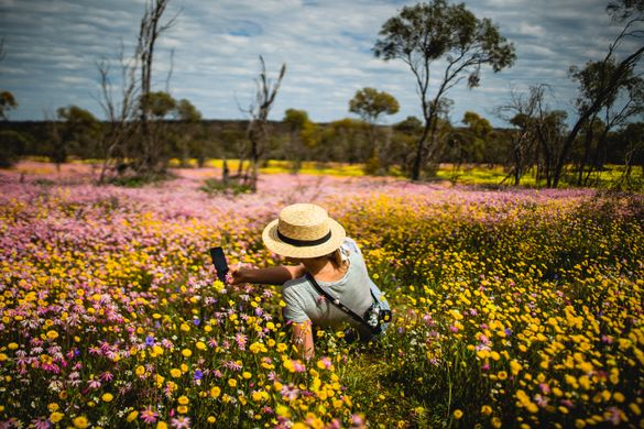 Coalseam National Park_ credit @RobMulally and @GeorgiaRickard