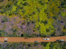 Aerial view of Coalseam National Park wildflowers_credit Daniel Wilkins