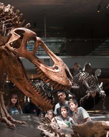Dinosaurs at Natural History Museum of LA County