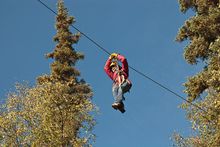 Zip through the treetops in full view of Mount McKinley on a canopy zipline tour.