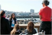 New Sea Lion Center at PIER 39