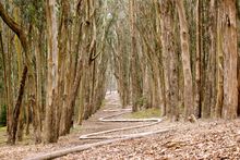 Urban Hiker Tour