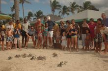 Crab racing on the beach at Nisbet Plantation Beach Club, Nevis