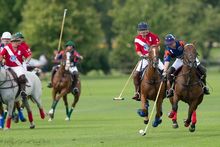 Oak Brook Polo