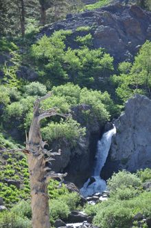 High Country Waterfall, Highway 108 at Sonora Pass