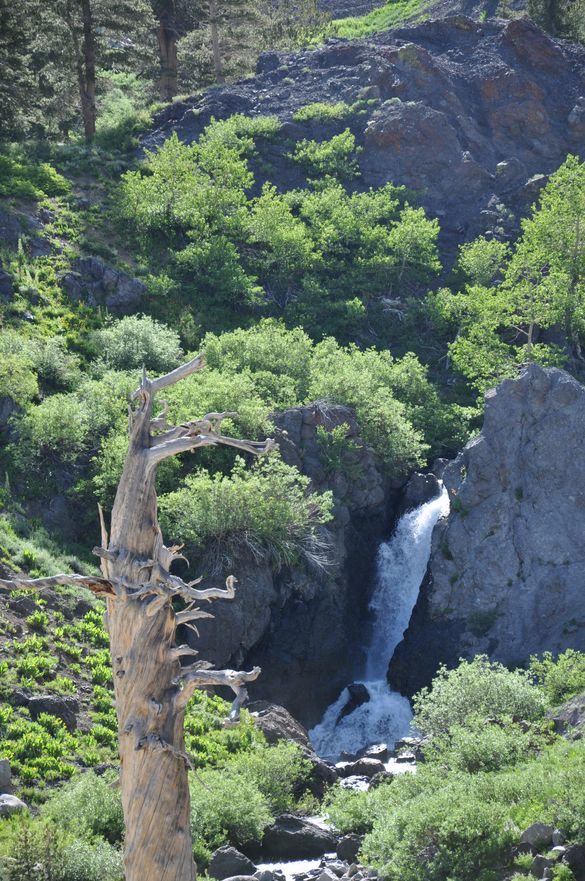 High Country Waterfall, Highway 108 at Sonora Pass
