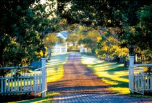 Spicers Hidden Vale, S E QLD Country 