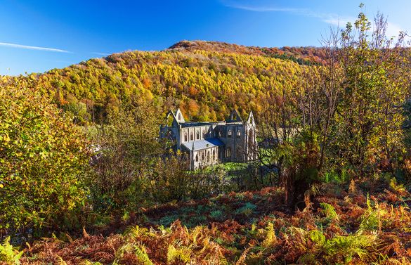 Tintern Abbey in the Autumn