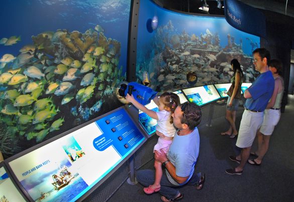 Andy Olday, left, hoists his daughter Emilia, so she can view a video screen on an underwater camera at the Florida Keys Eco-Discovery Center.