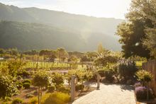 Explore Monterey County this fall 