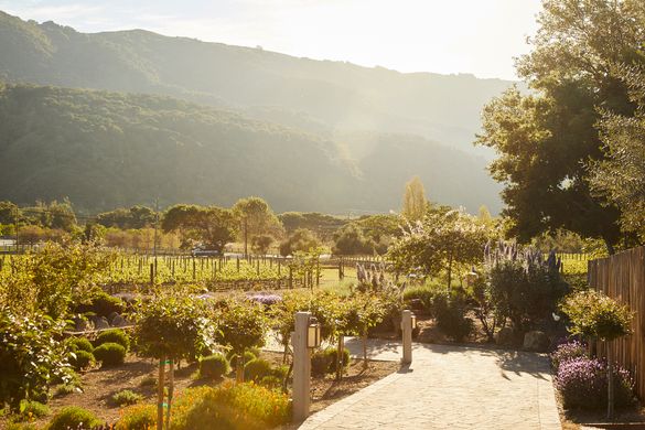Explore Monterey County this fall 