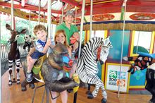 Wildlife Conservation Carousel