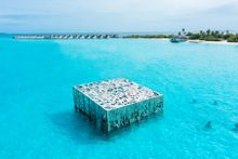 Coralarium