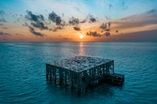 Sunset view of Coralarium