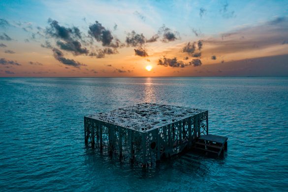 Sunset view of Coralarium