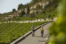 Danube cycle path