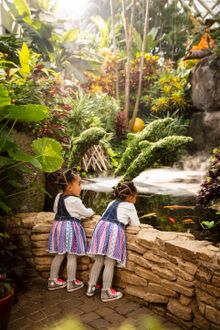 Franklin Park Conservatory and Botanical Gardens