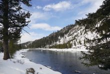 RWH Yellowstone Snowshoeing & Winter Wildlife