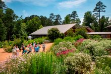 Guided Tour at the North Carolina Botanical Garden in Chapel Hill, NC