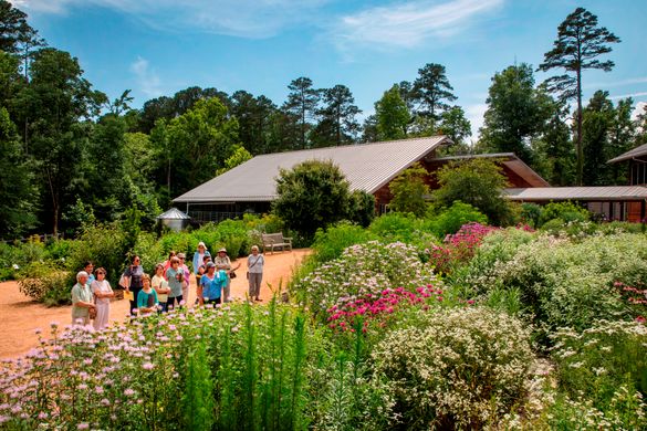 Guided Tour at the North Carolina Botanical Garden in Chapel Hill, NC