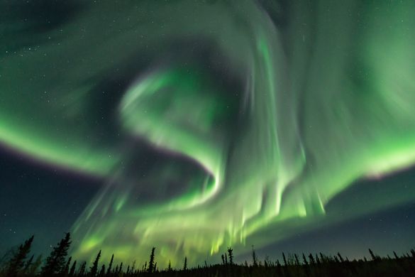 Curtains of aurora borealis near Fairbanks, Alaska. Photo by T Colby Wright.