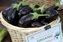 Organic eggplant at the Lafayette Farmers & Artisans Market