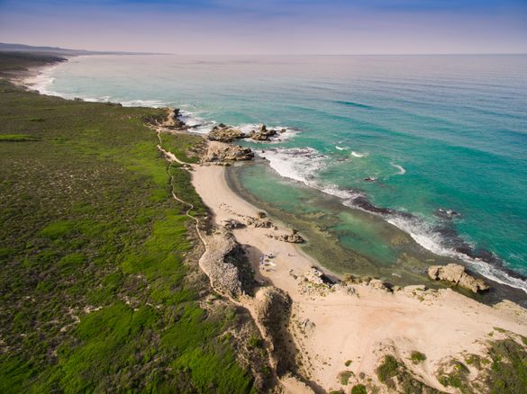 The coastal landscape of the Camino trail between Lekkerwater & Morukuru Beach Lodge