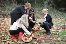 High Country Harvest event Autumn Harvest Forage