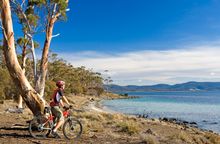 Tasmanian Expeditions - Andrew Bain