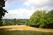 The Paddock at Mews Hill