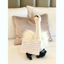 The Surrey Swan 