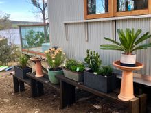 each Pod has it's own herb-garden....how cool is that!